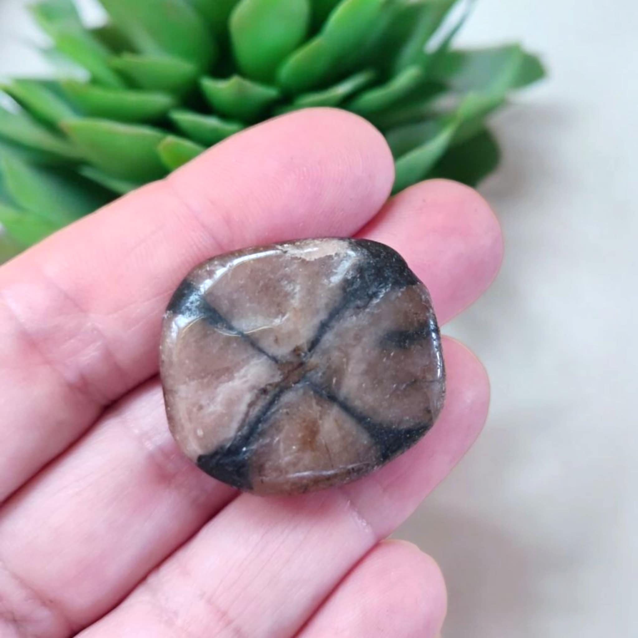 chiastolite 1