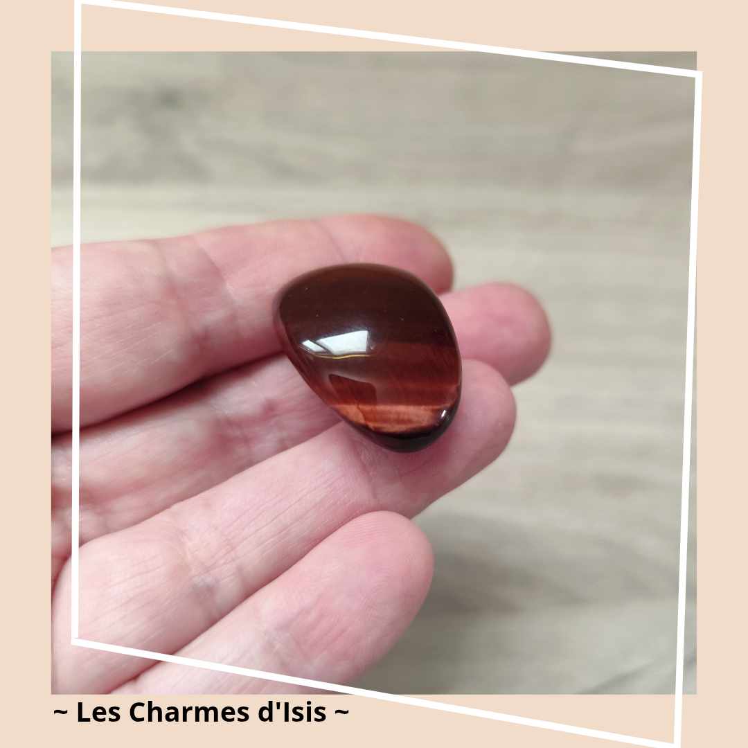 Oeil de Taureau 5