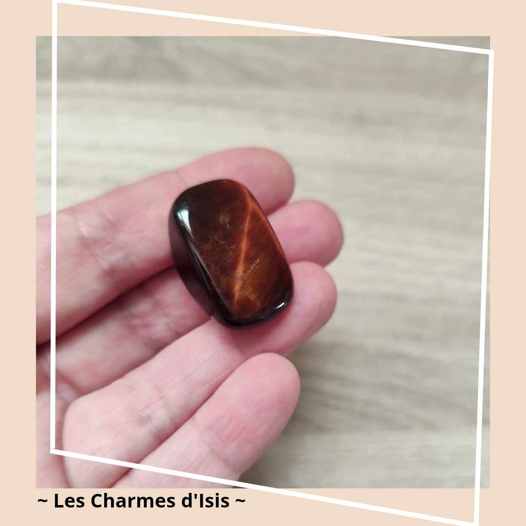 Oeil de Taureau 6