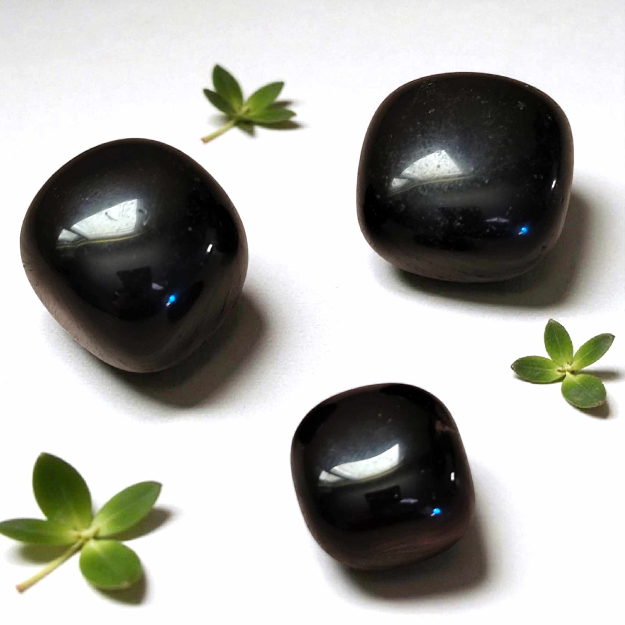 Obsidienne Noire (2)