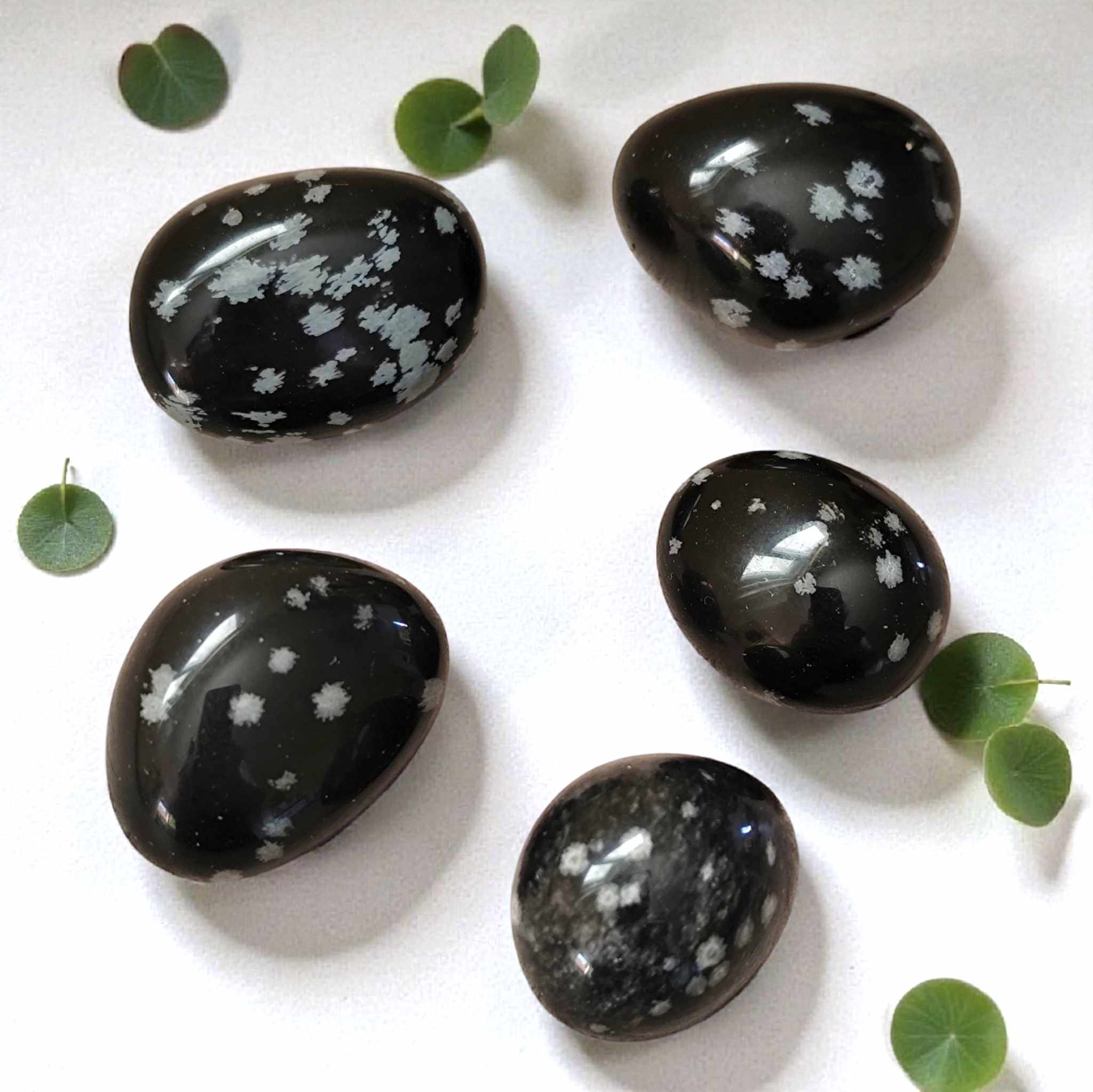 Obsidienne neige (2)