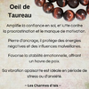 Oeil de Taureau