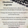 Obsidienne Argentée