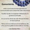 Dumortiérite