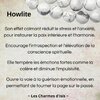 Howlite