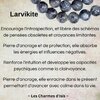Larvikite