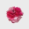 Dégradé de rose
