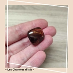 Oeil de Taureau 4