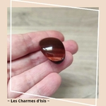Oeil de Taureau 5