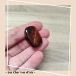 Oeil de Taureau 6