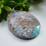 Coquille d’ormeau naturelle nacrée 12 cm pour pierres et bijoux
