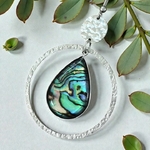 Abalone