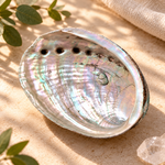 coquille-d-ormeau-naturelle-nacree-12-cm-pour-pierres-et-bijoux