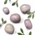 Kunzite (2)