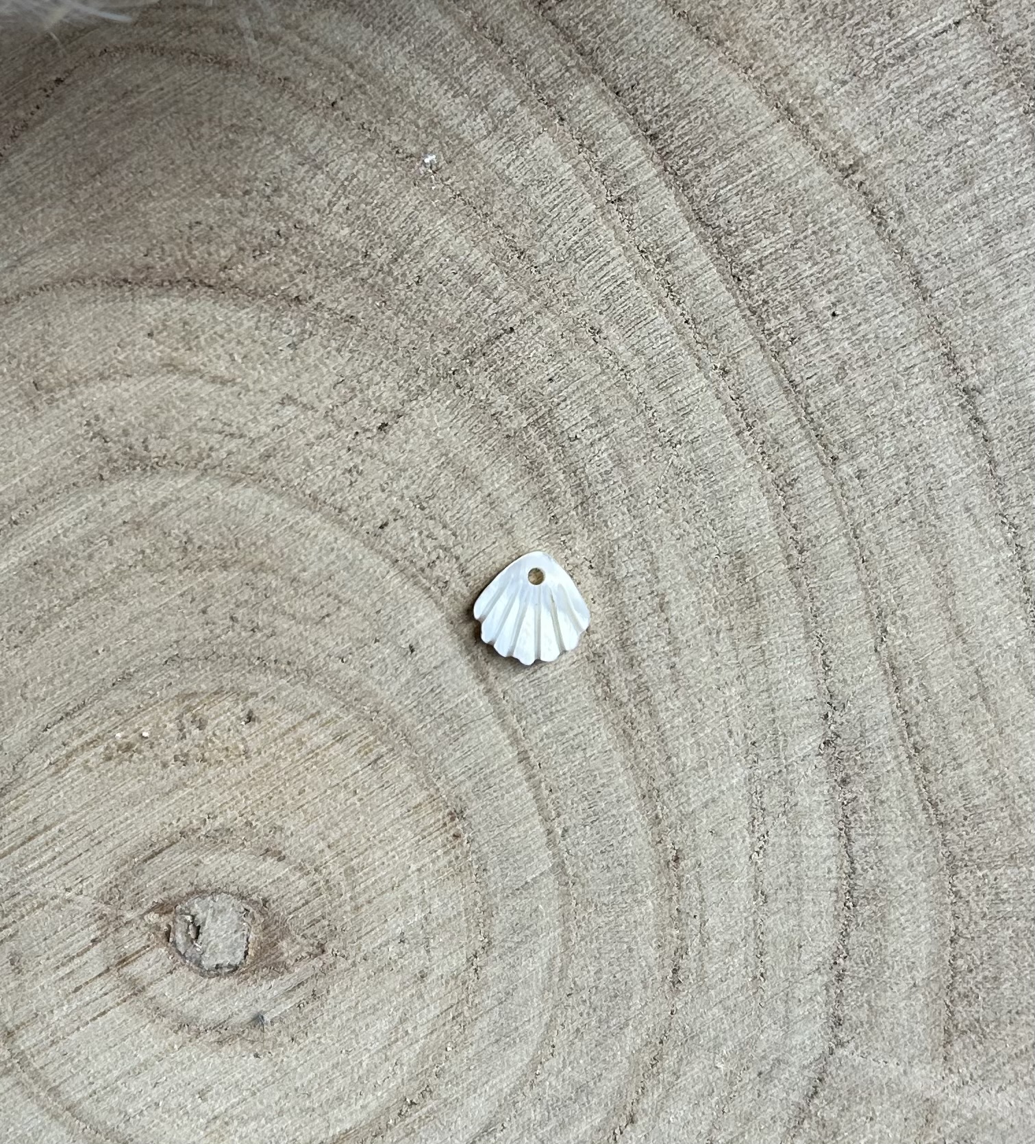 Coquillage nacré pour bola de grossesse