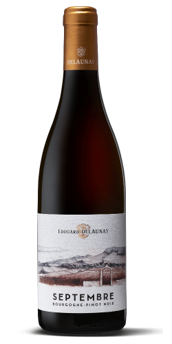 bourgogne-pinot-noir-septembre-rouge-2022