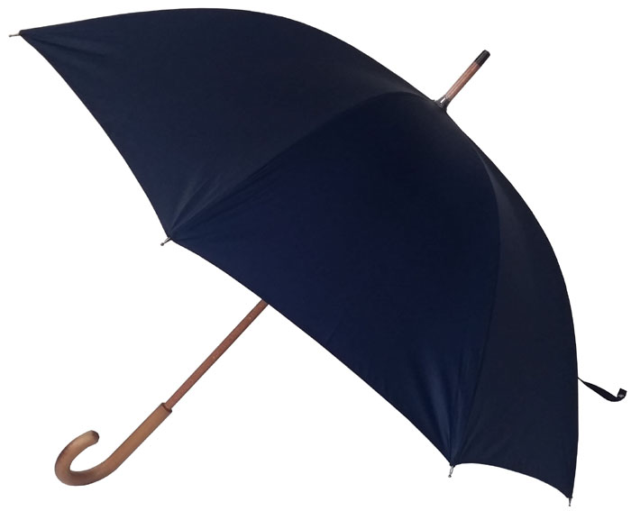 parapluie-ville-homme-marine003
