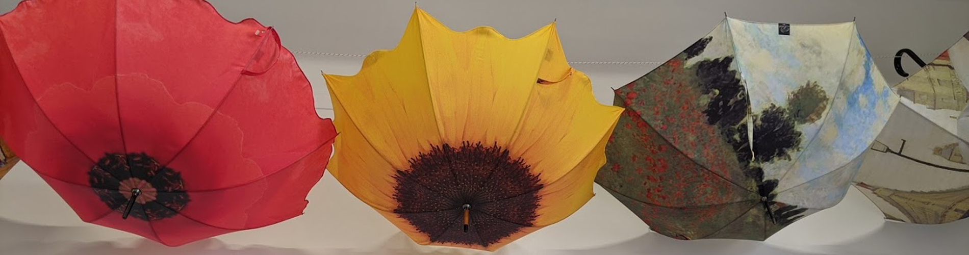 parapluie fleurs