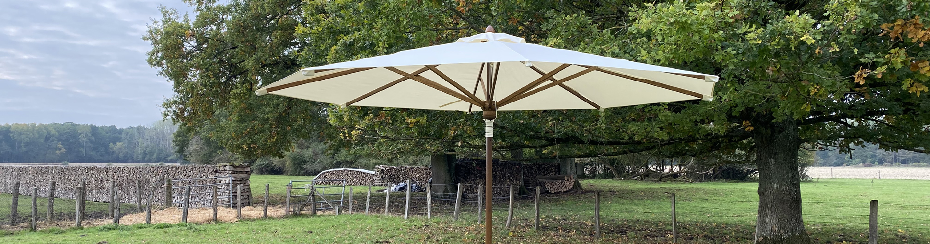 parasol bois