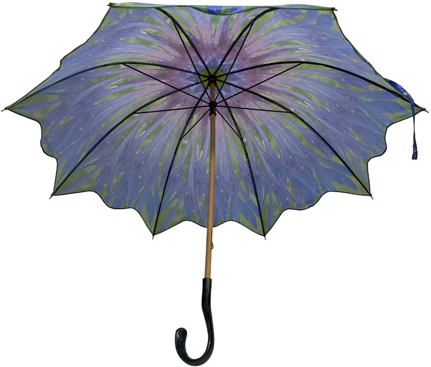 2021-parapluie-long-bleuet-ouvert-interieur