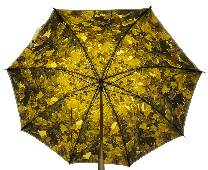 parapluie_droit_ville_jaune_feuilles_automne_2