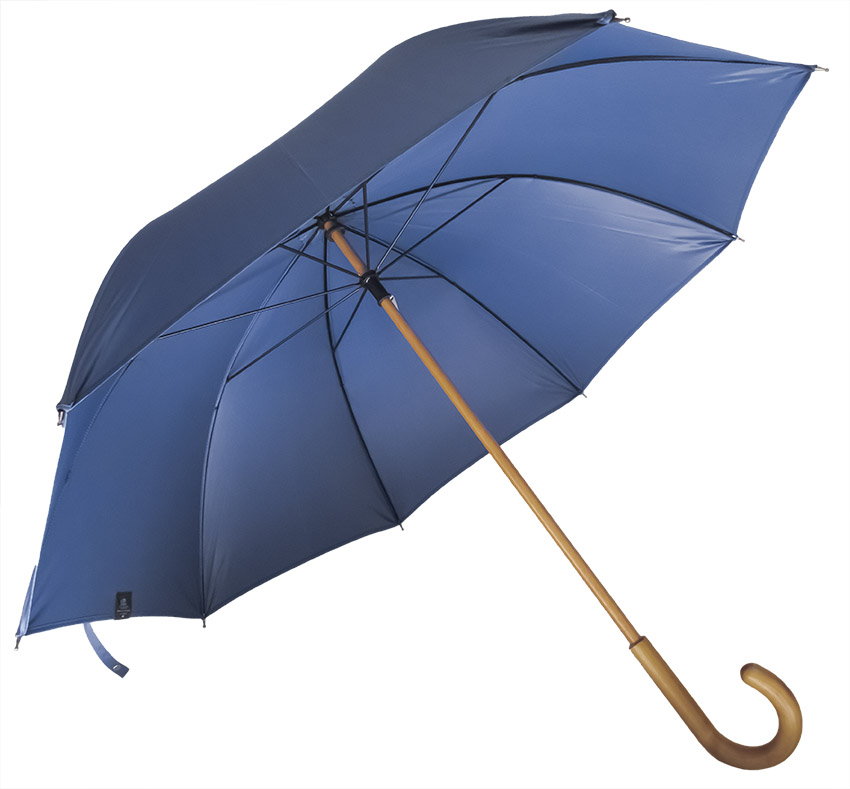 Parapluie ville bleu ritz