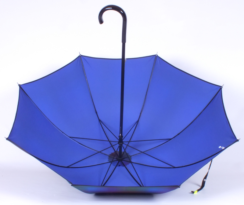 parapluie arc en ciel 12