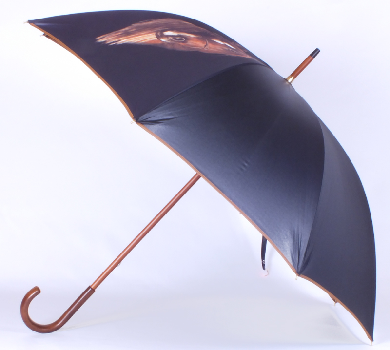 parapluie cheval 03