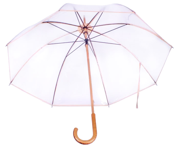parapluie_cloche_transparent_gansé_beige_2