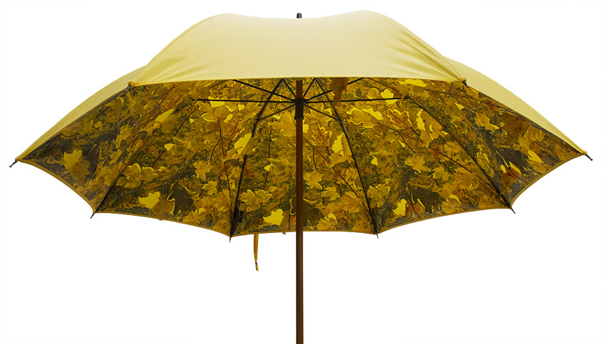 parapluie_droit_ville_jaune_feuilles_automne_3