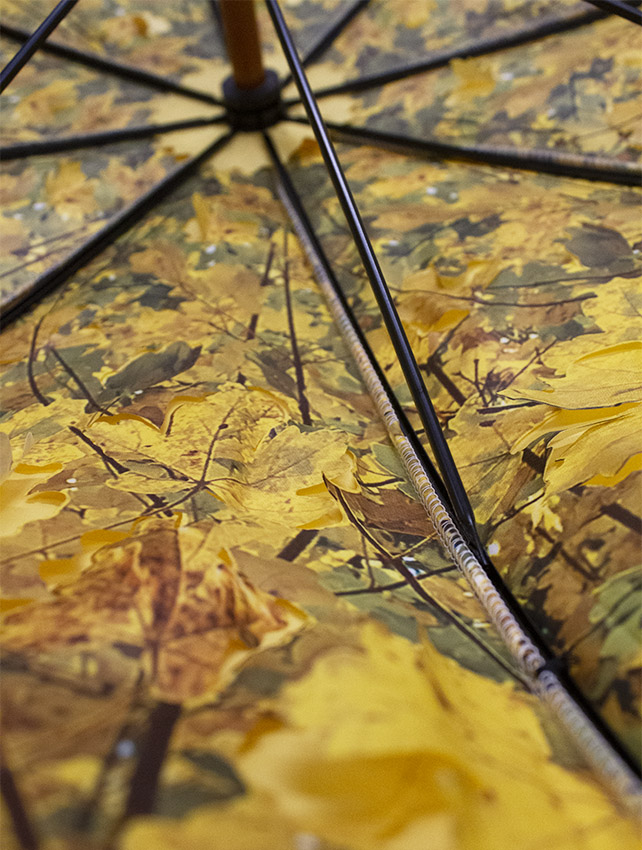 parapluie_droit_ville_jaune_feuilles_automne_4