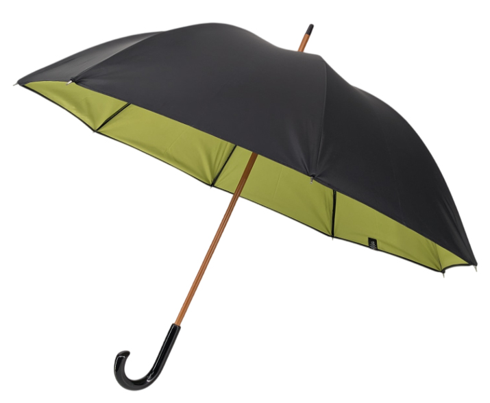 Parapluie noir doublé vert anis
