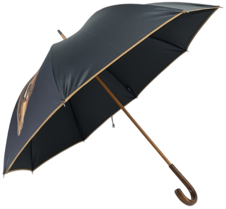 parapluie-vile-cheval04