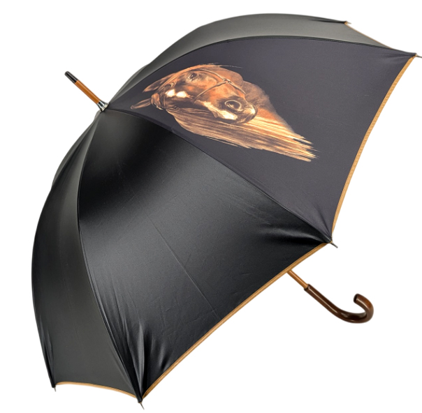 parapluie-vile-cheval02