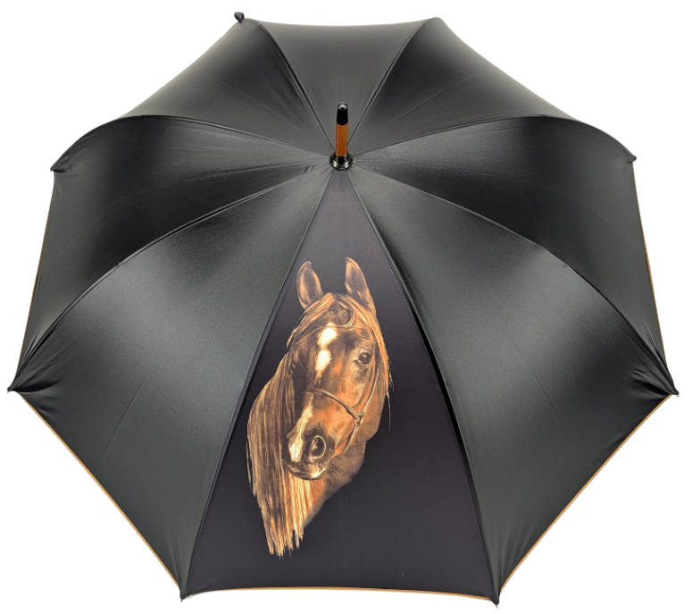 parapluie-vile-cheval01