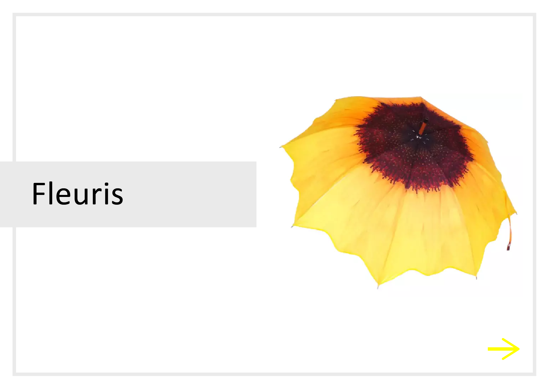 lien parapluies fleuris