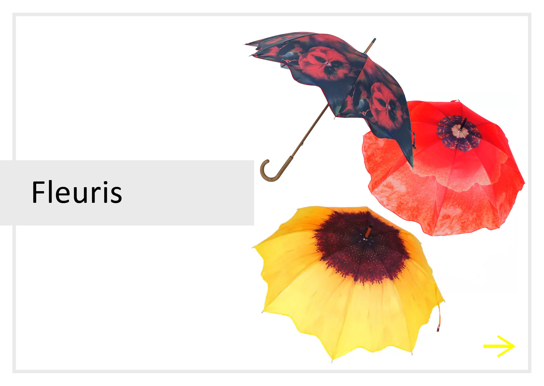 lien parapluies fleuris