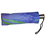parapluie-mini-automatique-bleuet001