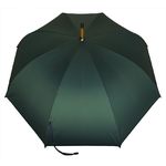 parapluie_ville_vert_sapin_noir_3