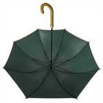 Parapluie_ville_poignee_courbe_cuir_vert_sapin_+camel_1