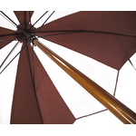 parapluie_transparent_tulipe_chocolat_3