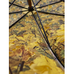 parapluie_droit_ville_jaune_feuilles_automne_4
