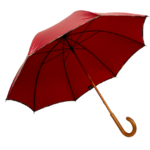 parapluie-droit-carmin-biais-motif-vert-2
