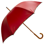 parapluie-droit-carmin-biais-motif-vert-1