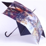 parapluie peintre renoir le lac 006