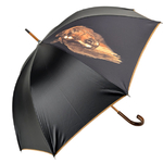 parapluie-vile-cheval02