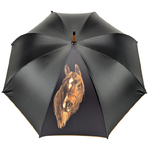 parapluie-vile-cheval01