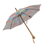 transparent-Photoroom (24)