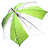 parapluie_transparent_tulipe_vert-a-pois_6