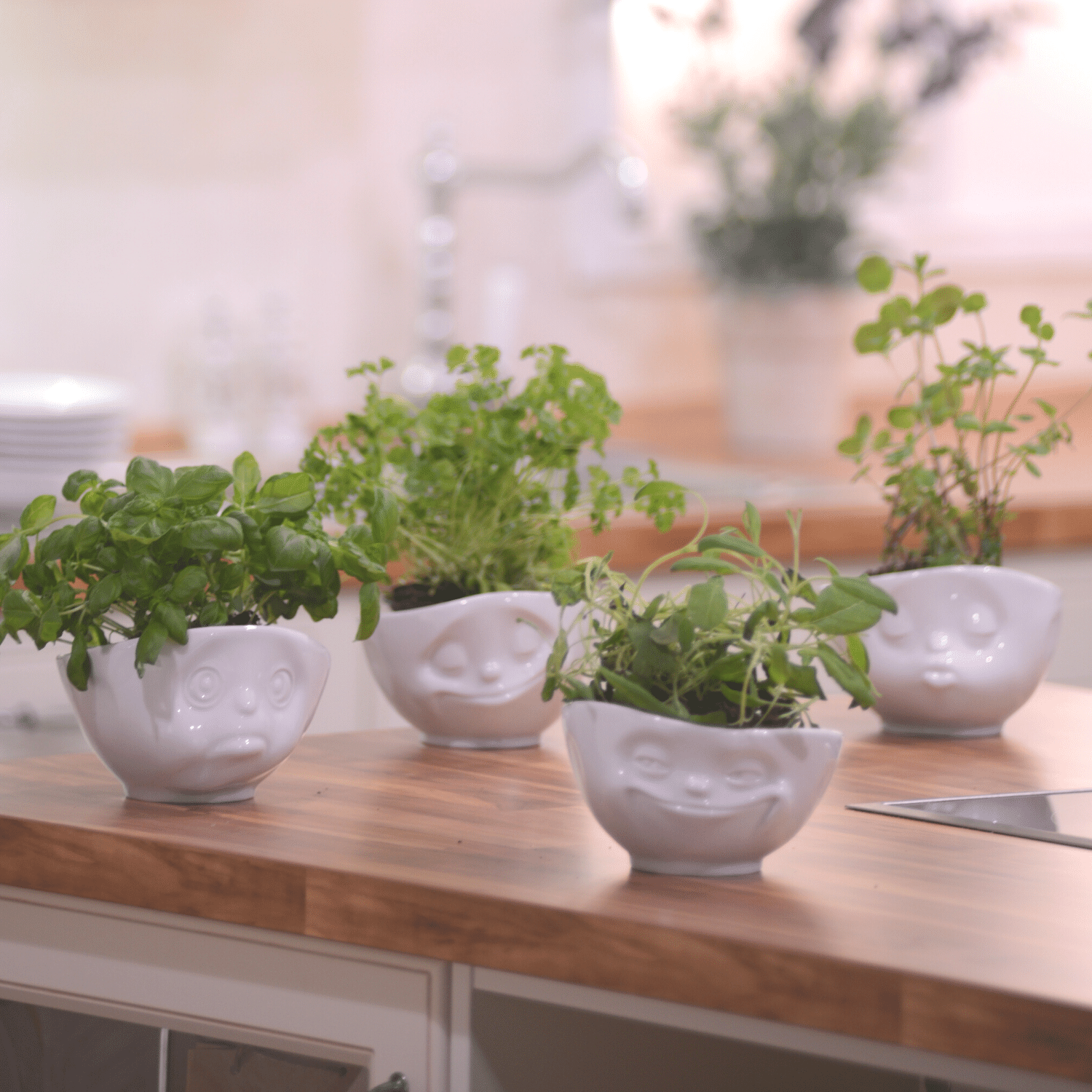bols 500ml visage emotion cuisine herbes aromatiques dans vaisselle tassen